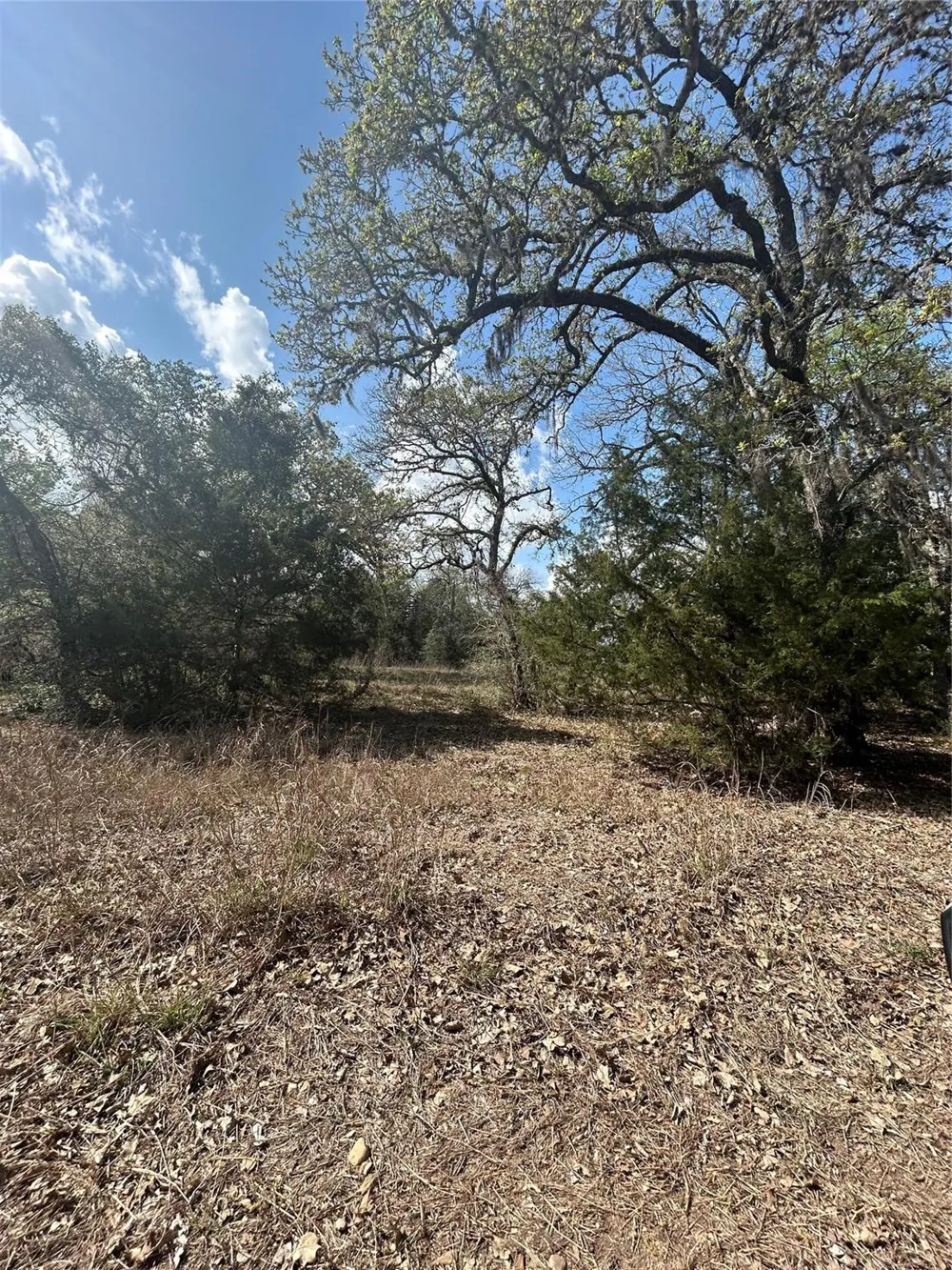 3060 Brunes Mill Road Columbus, TX 78934