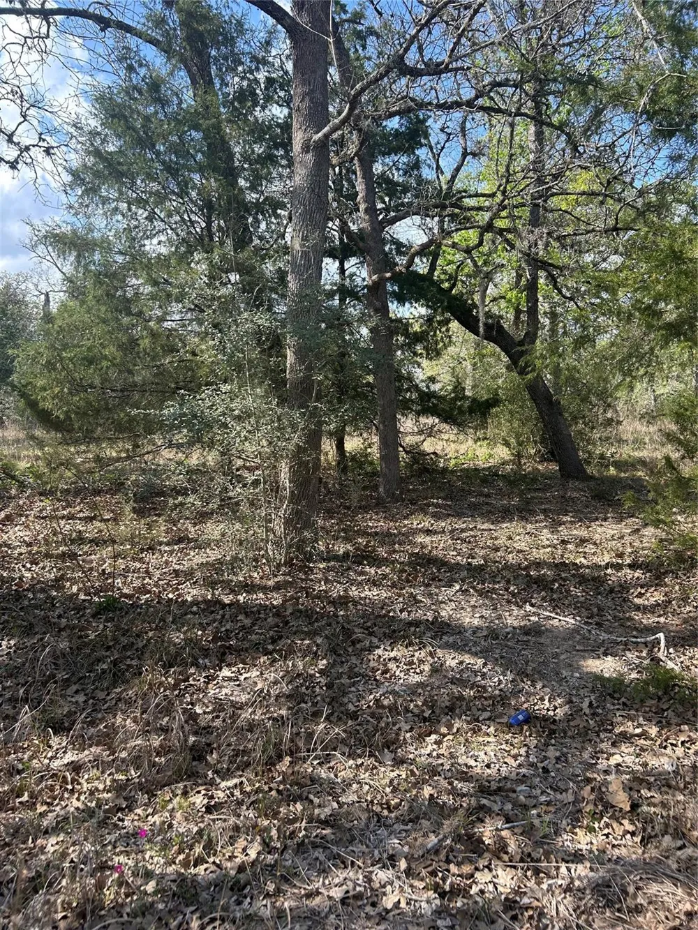 3060 Brunes Mill Road Columbus, TX 78934