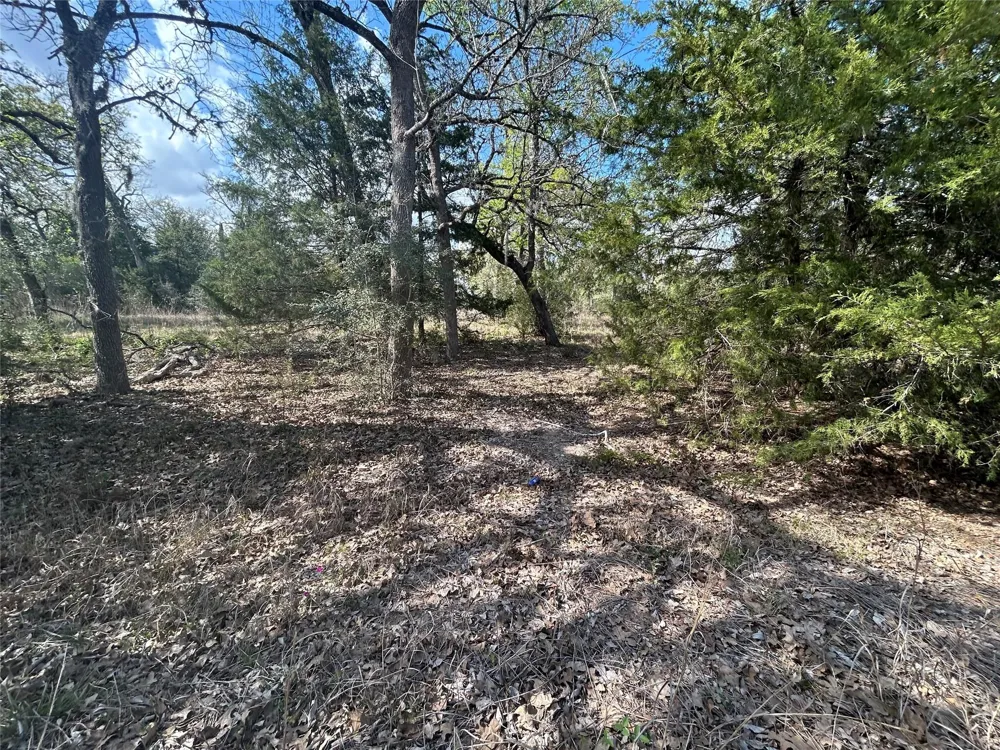 3060 Brunes Mill Road Columbus, TX 78934