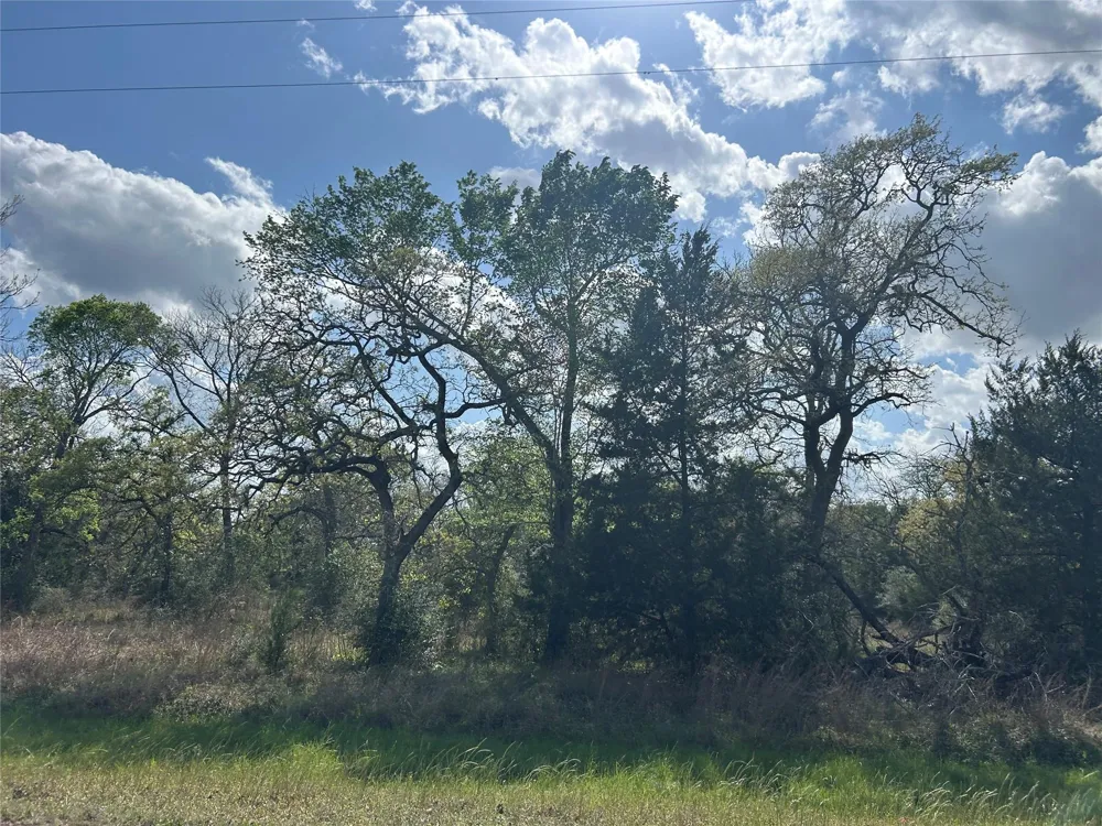 3060 Brunes Mill Road Columbus, TX 78934
