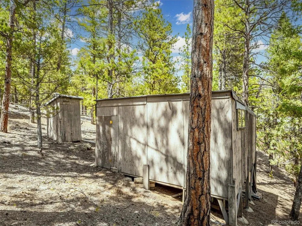 33431 Lake Lane Pine, CO 80470