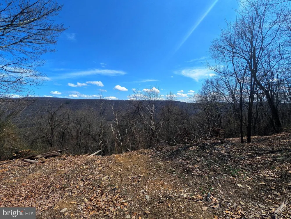 0 PINE RIDGE ROAD James Creek, PA 16657