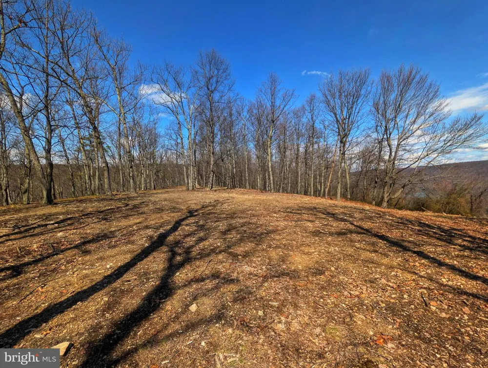 0 PINE RIDGE ROAD James Creek, PA 16657