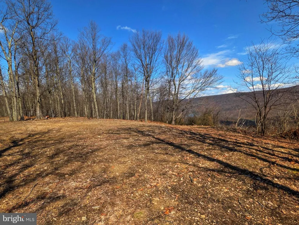 0 PINE RIDGE ROAD James Creek, PA 16657