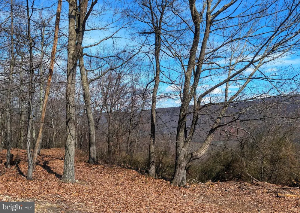 0 PINE RIDGE ROAD James Creek, PA 16657