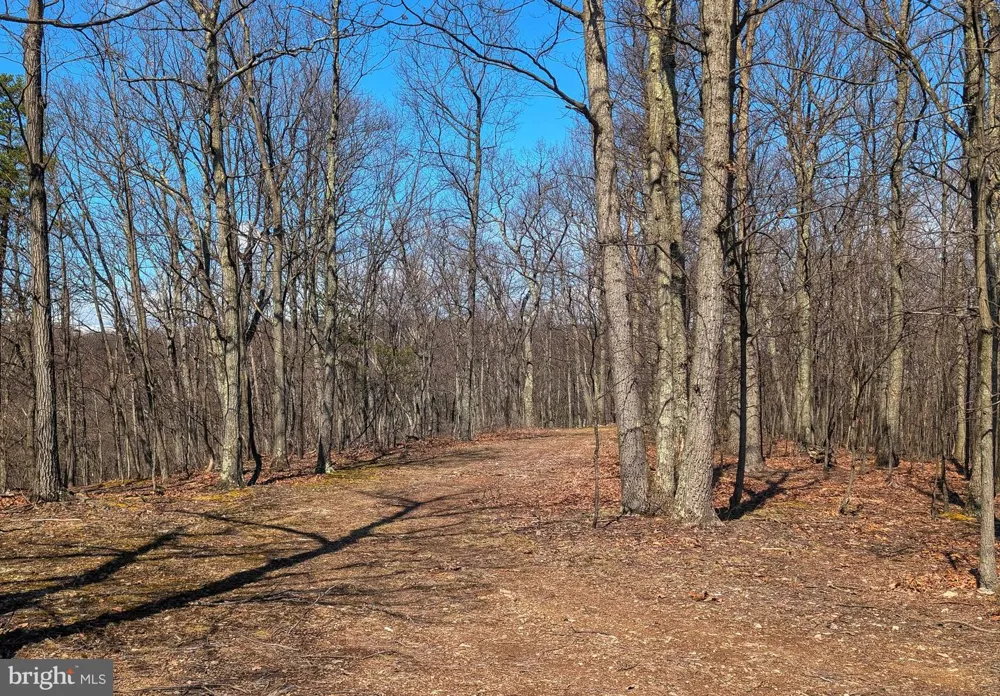 0 PINE RIDGE ROAD James Creek, PA 16657