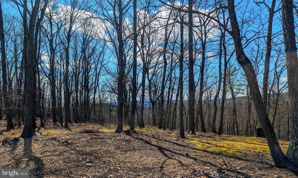 0 PINE RIDGE ROAD James Creek, PA 16657