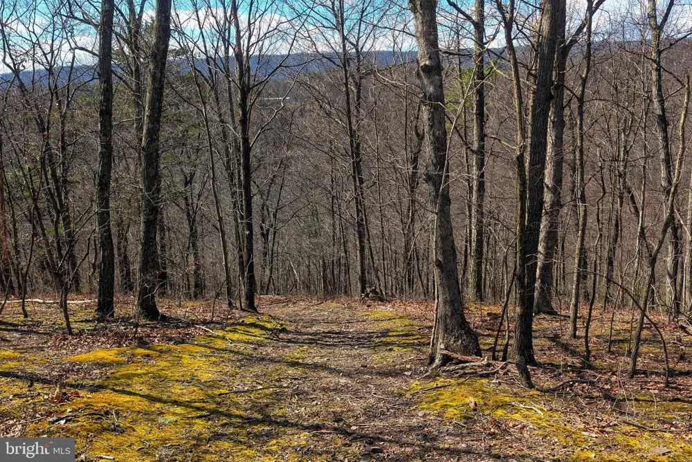 0 PINE RIDGE ROAD James Creek, PA 16657