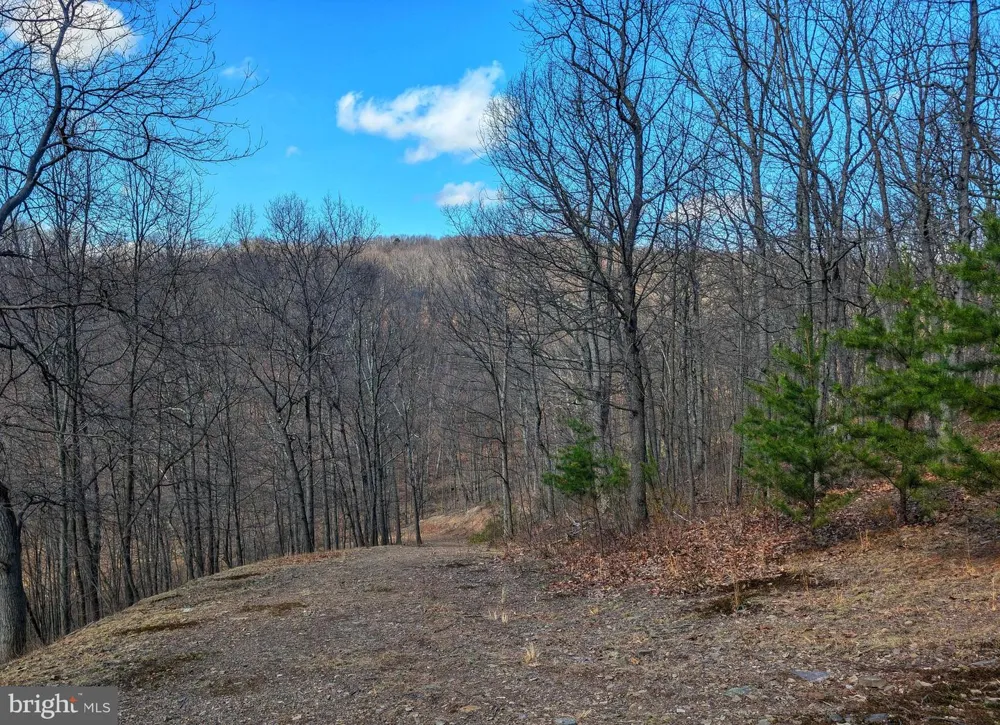 0 PINE RIDGE ROAD James Creek, PA 16657