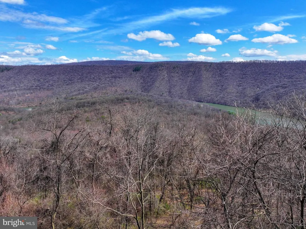 0 PINE RIDGE ROAD James Creek, PA 16657