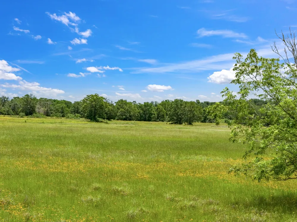 3011 County Road  314 Rockdale, TX 76567