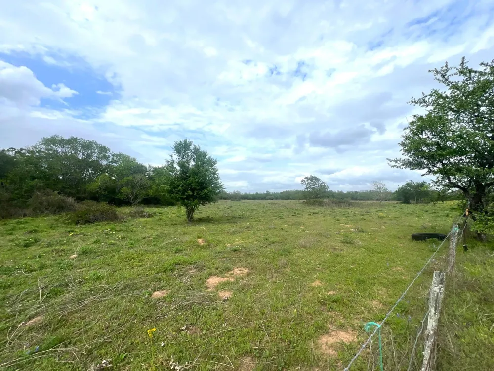 1900 Hluchan Sealy, TX 77474