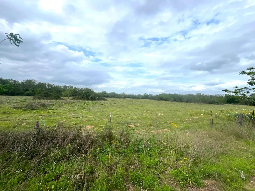 1900 Hluchan Sealy, TX 77474
