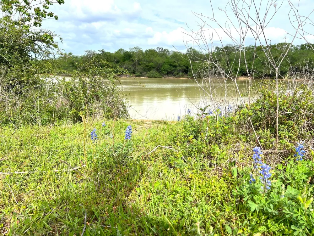 1900 Hluchan Sealy, TX 77474