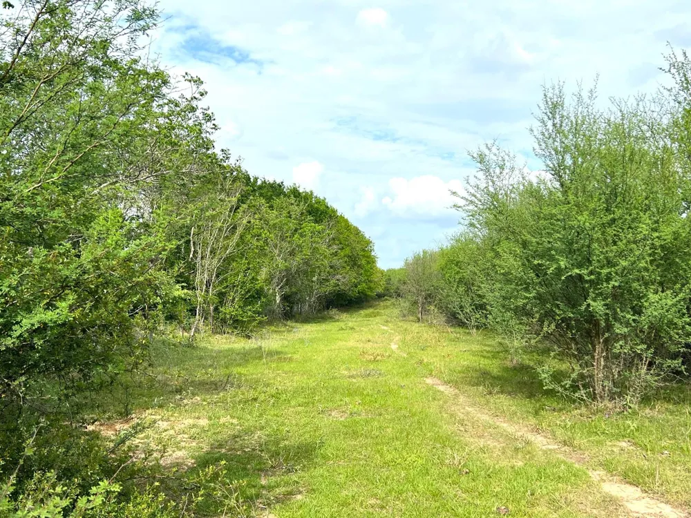 1900 Hluchan Sealy, TX 77474