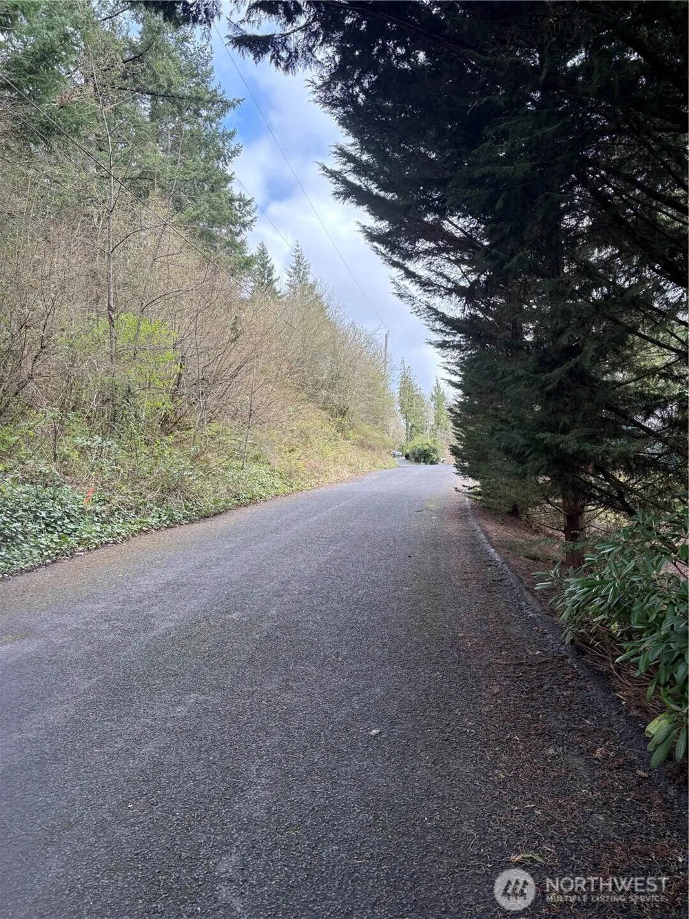 0 NE Jefferson Street Chehalis, WA 98532