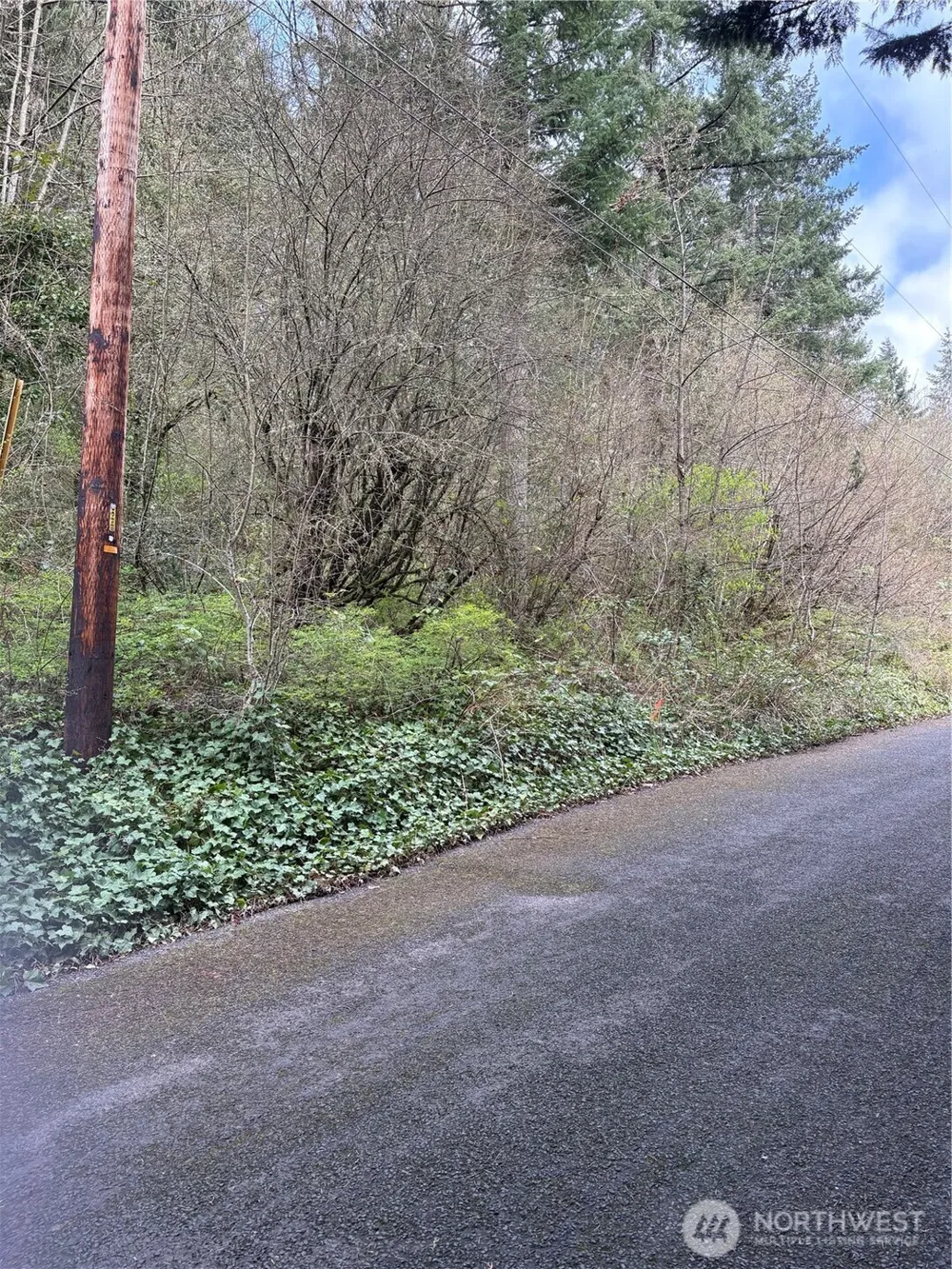 0 NE Jefferson Street Chehalis, WA 98532