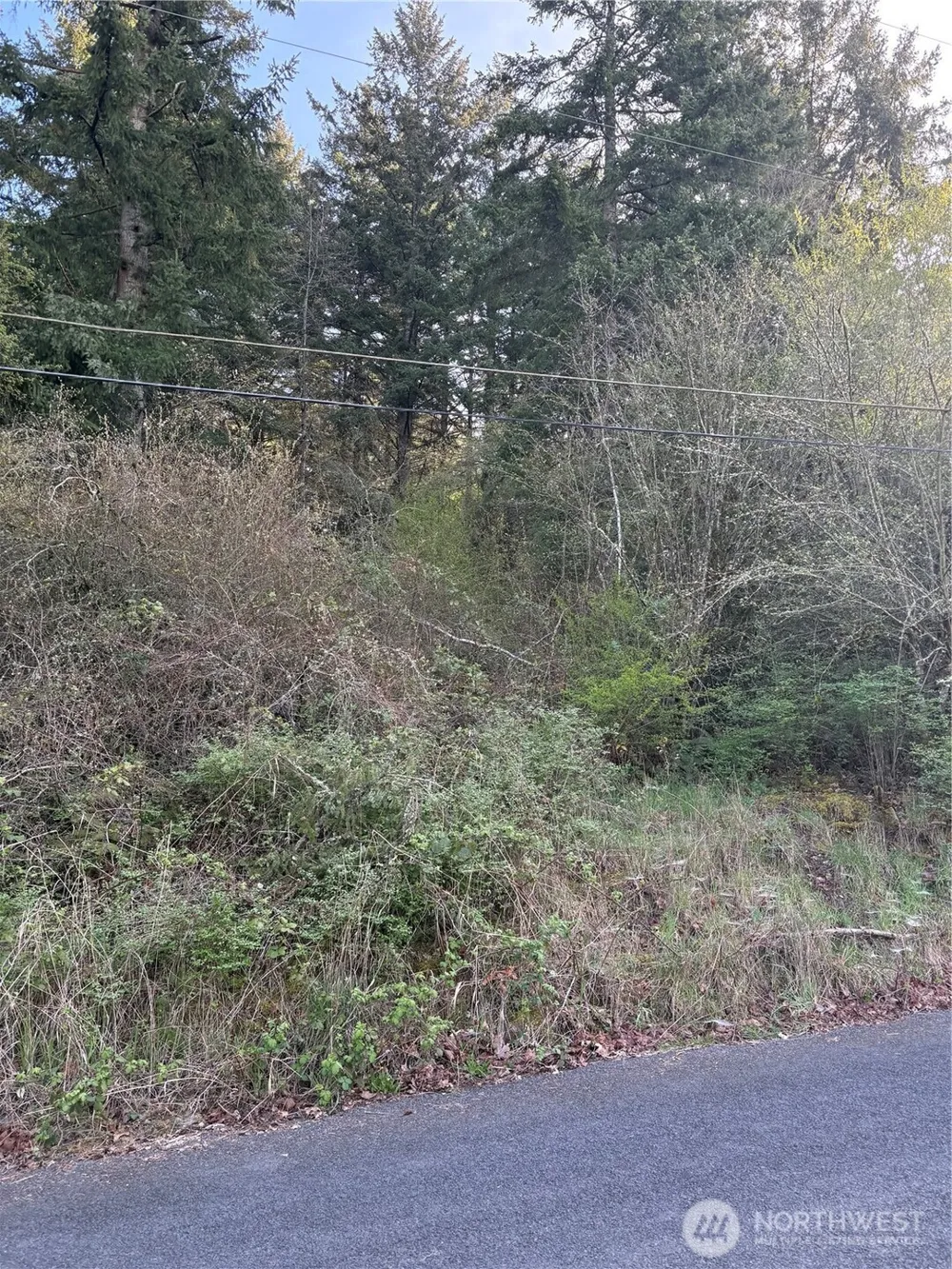 0 NE Jefferson Street Chehalis, WA 98532