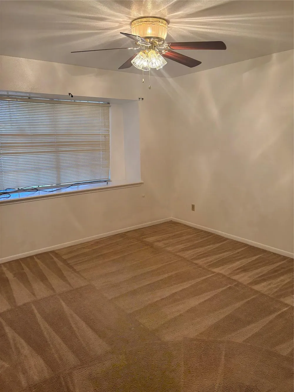 8450 Bigwood Street Houston, TX 77078
