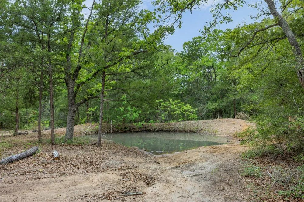604 Hilton Road Bryan, TX 77807