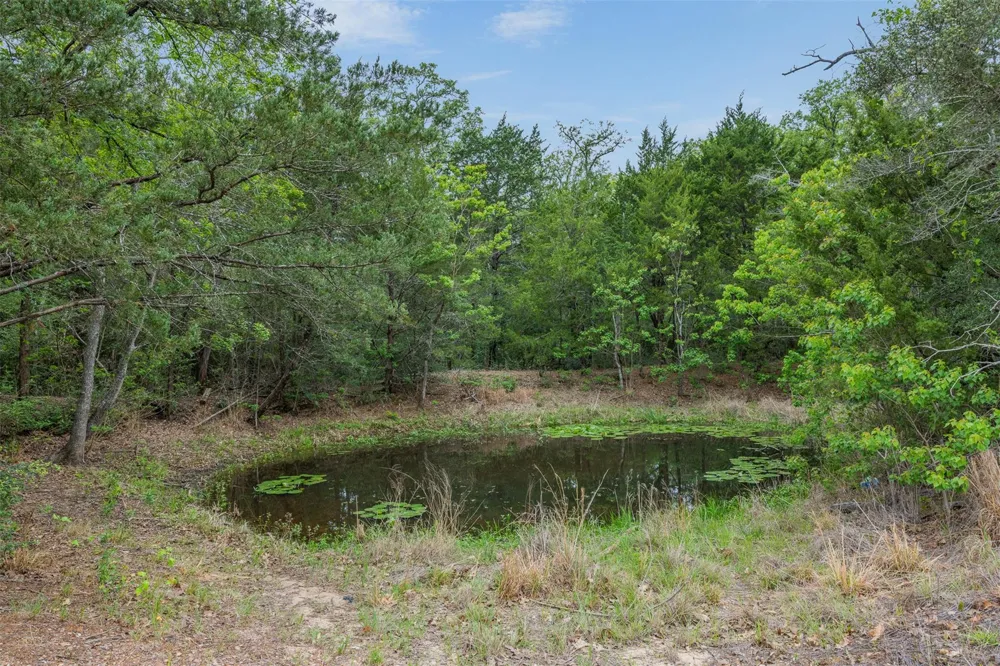 604 Hilton Road Bryan, TX 77807