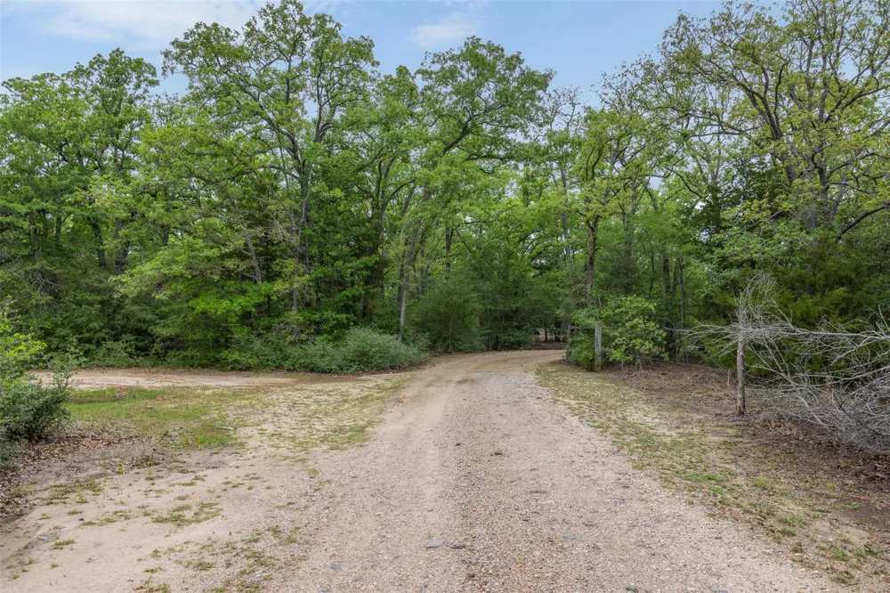 604 Hilton Road Bryan, TX 77807