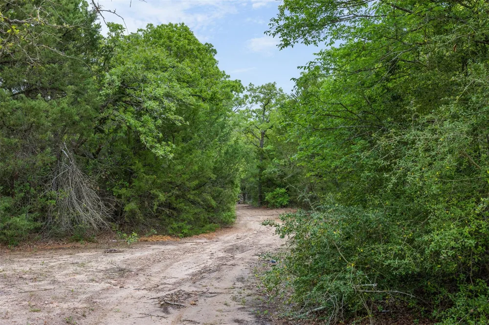 604 Hilton Road Bryan, TX 77807
