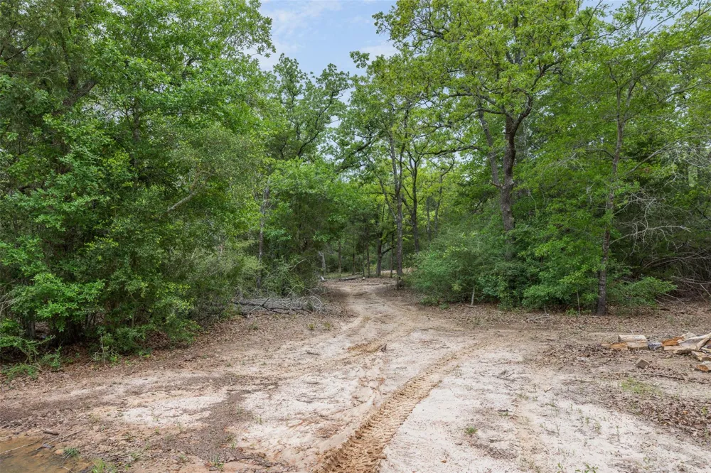 604 Hilton Road Bryan, TX 77807