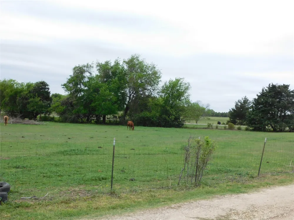 1032 Fm 936 Hubbard, TX 76648