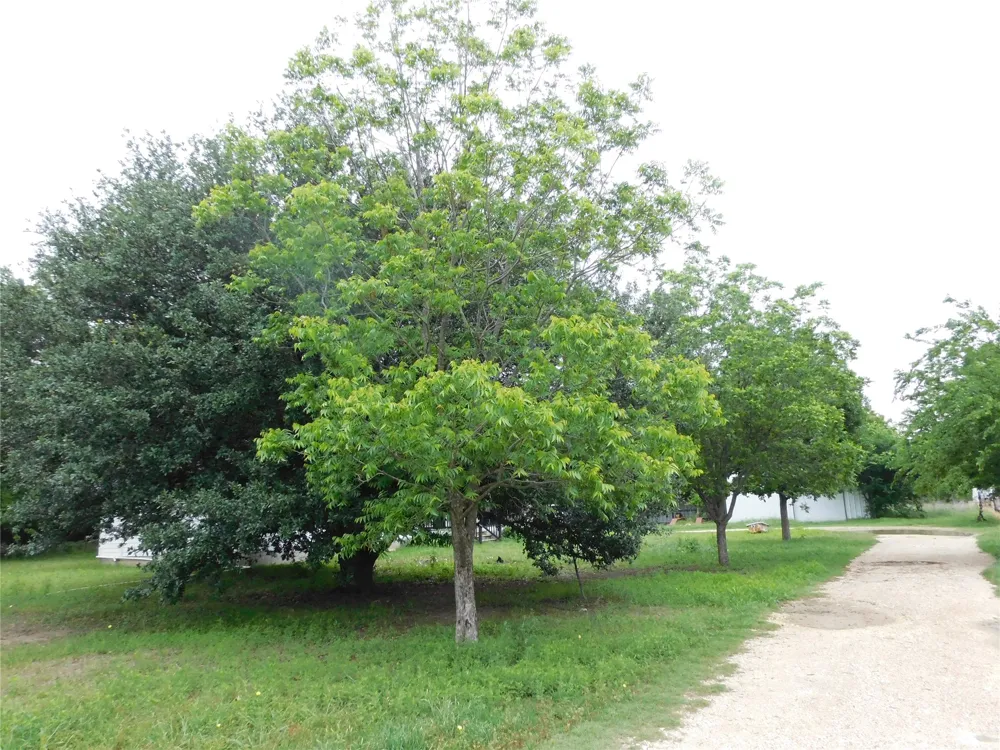 1032 Fm 936 Hubbard, TX 76648