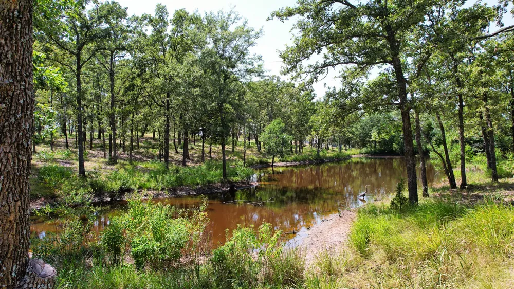 7011 Lakeshore Way Eustace, TX 75148
