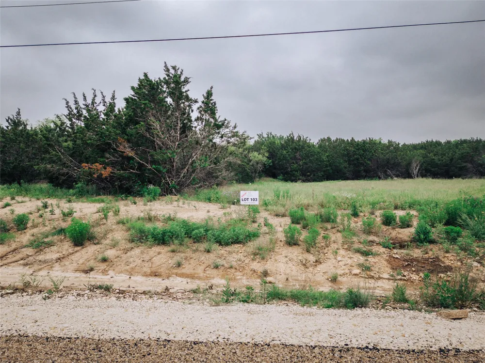 1165 County Road 407 Nemo, TX 76070