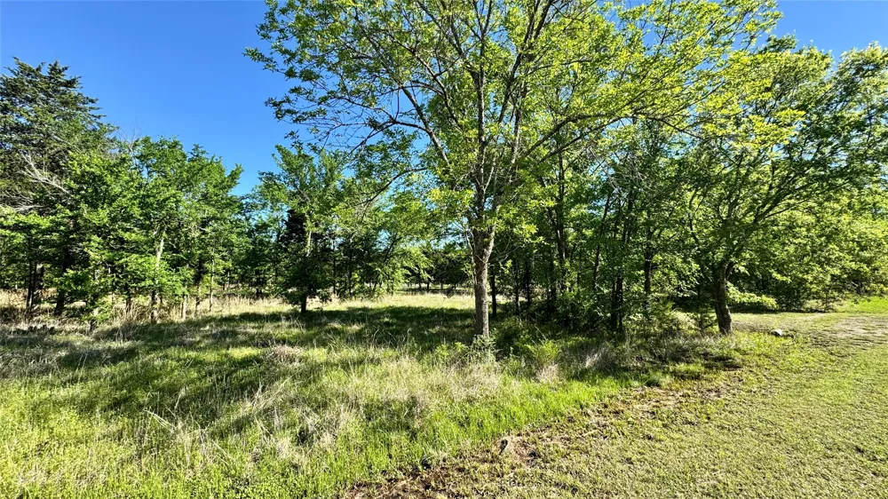 11656 FM 751 Wills Point, TX 75169