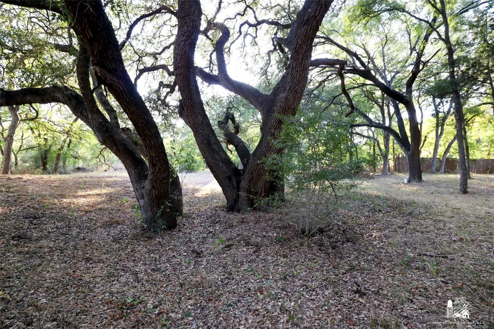 223 Oak Creek Circle McGregor, TX 76657