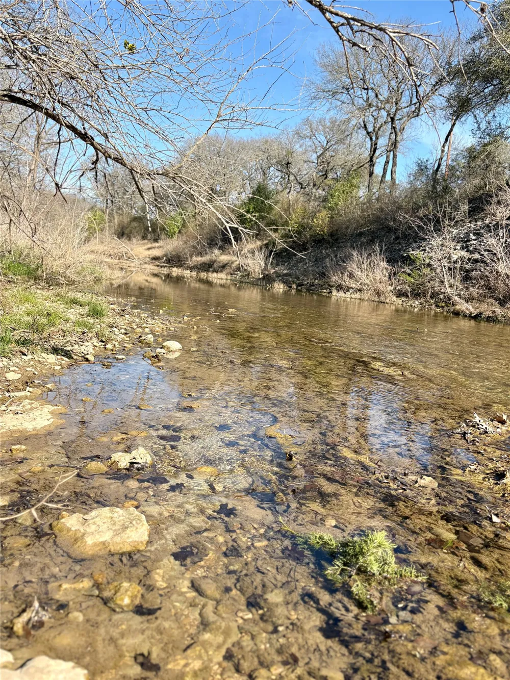 223 Oak Creek Circle McGregor, TX 76657