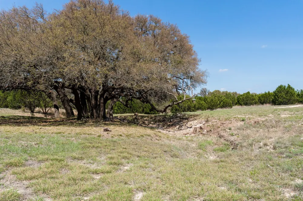 305 Willow Oak Goldthwaite, TX 76844