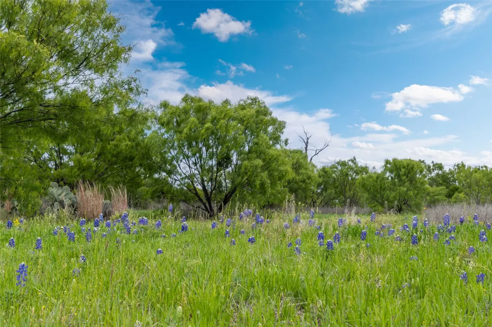 10150 HWY 67 Bangs, TX 76823