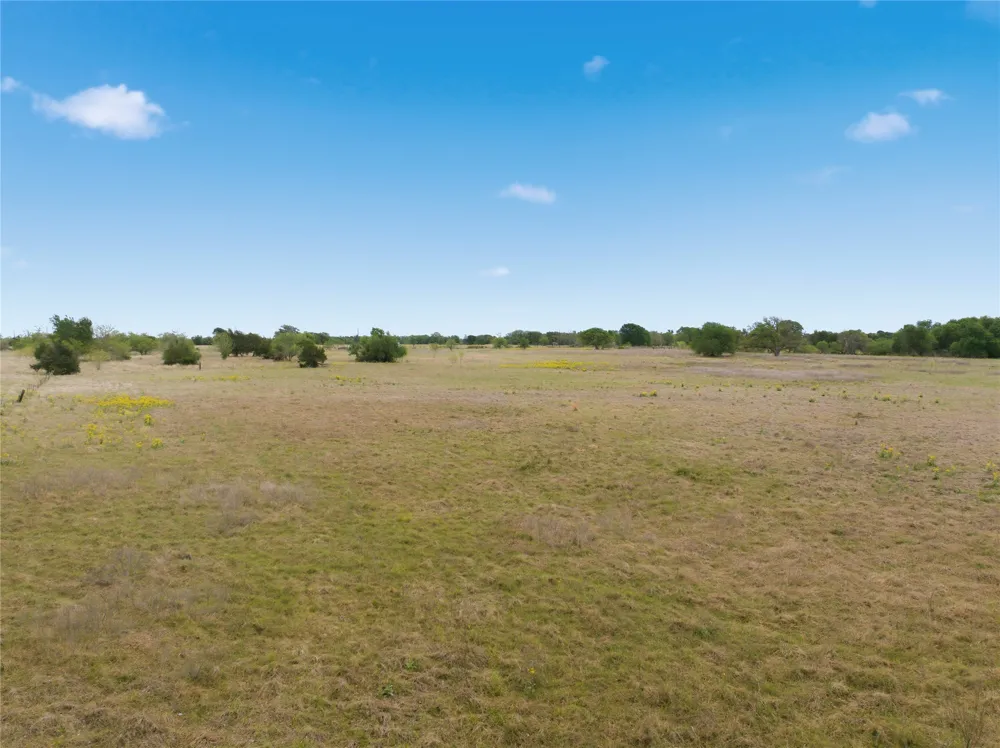 George Wachel Road Bremond, TX 77806