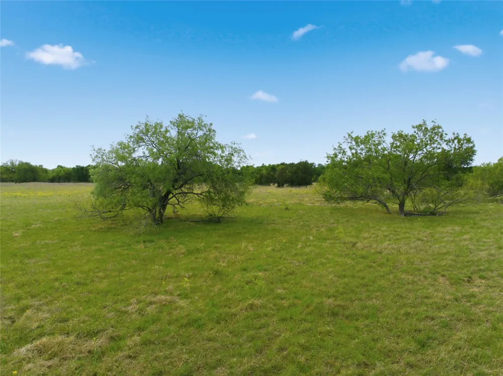 George Wachel Road Bremond, TX 77806