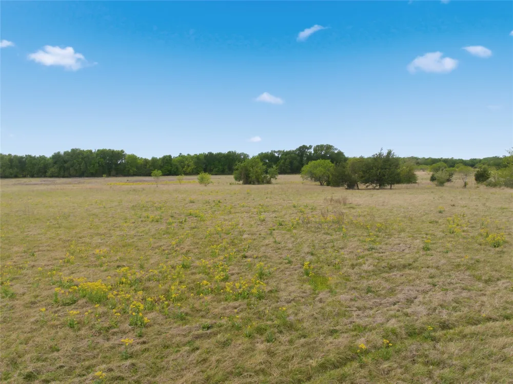 George Wachel Road Bremond, TX 77806