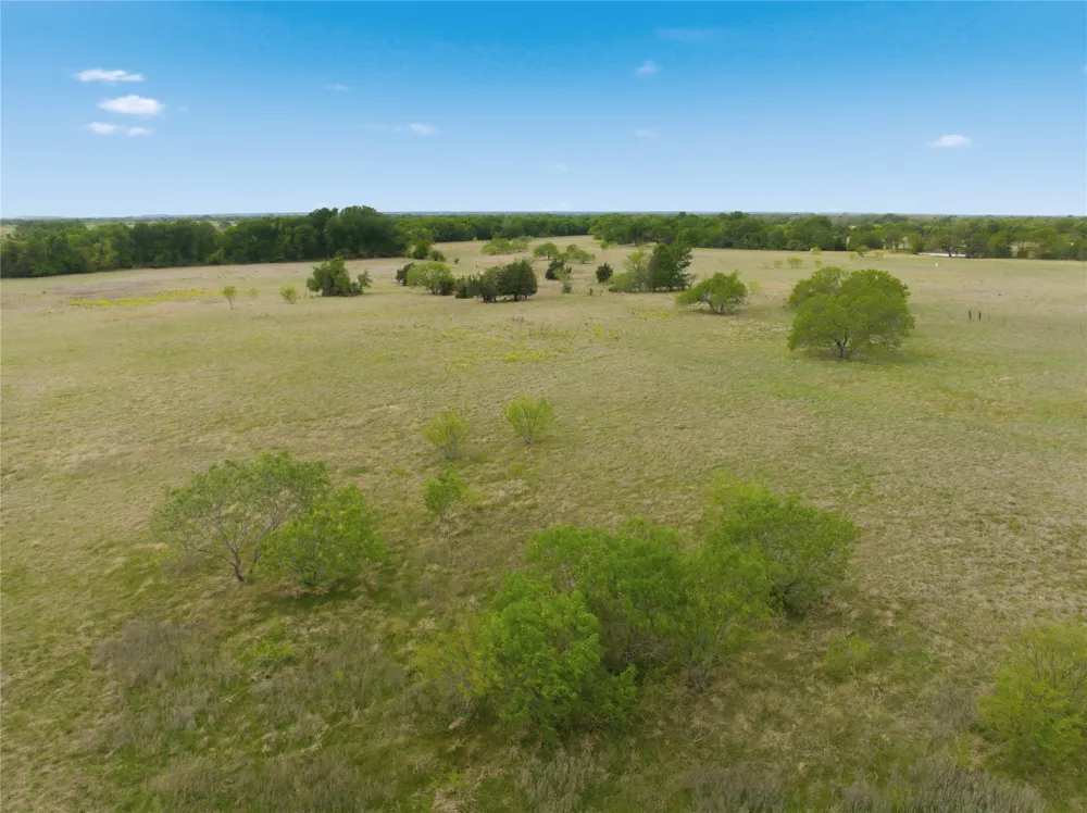 George Wachel Road Bremond, TX 77806