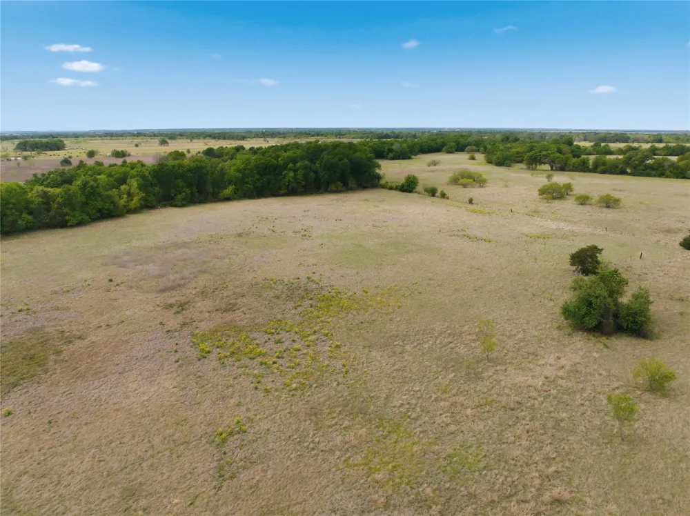 George Wachel Road Bremond, TX 77806