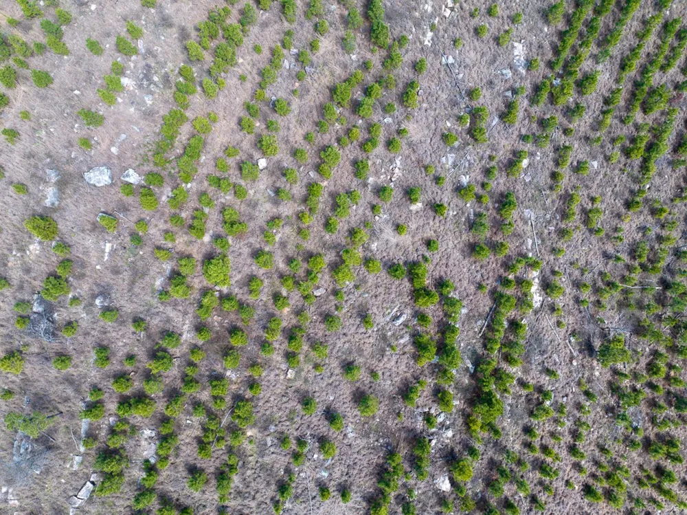 1 Off N4220 Antlers, OK 74523