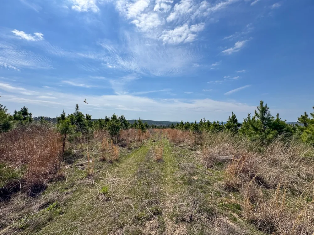 1 Off N4220 Antlers, OK 74523