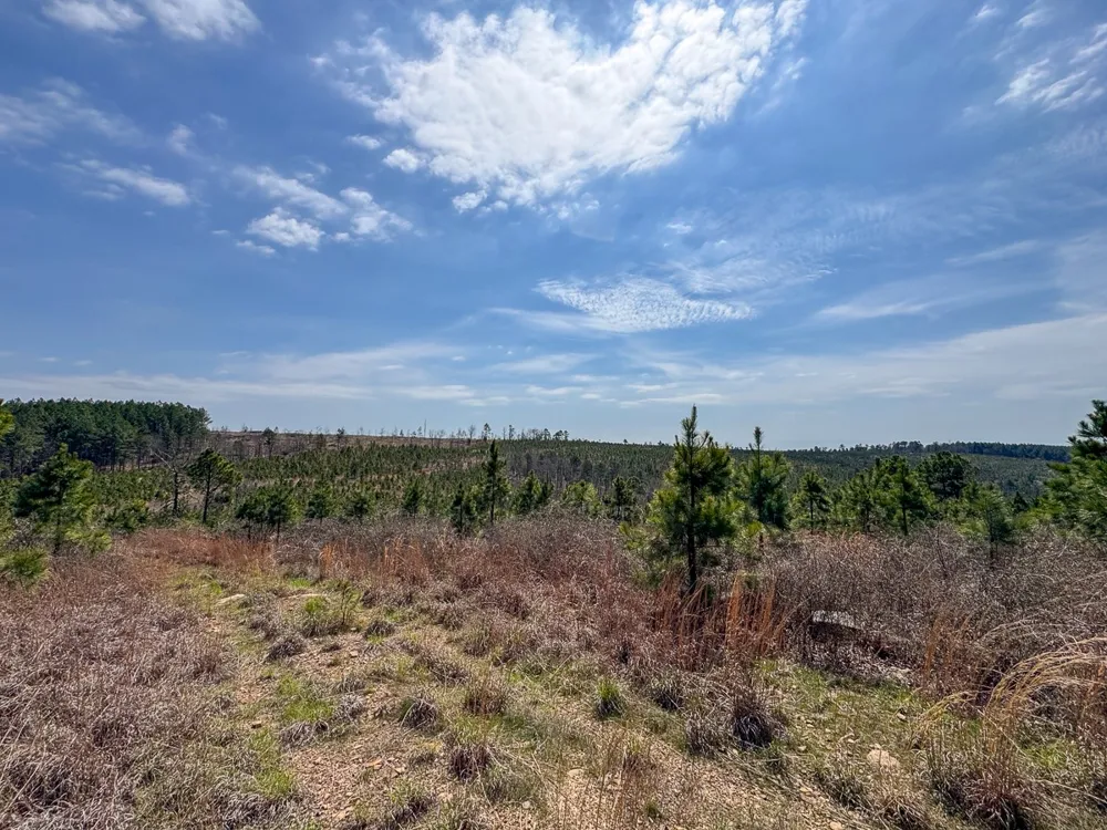 1 Off N4220 Antlers, OK 74523