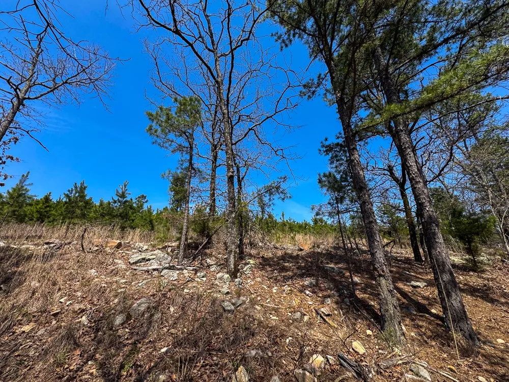 1 Off N4220 Antlers, OK 74523