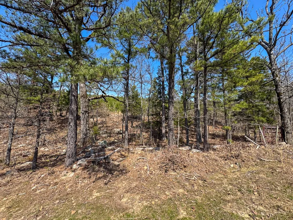 1 Off N4220 Antlers, OK 74523