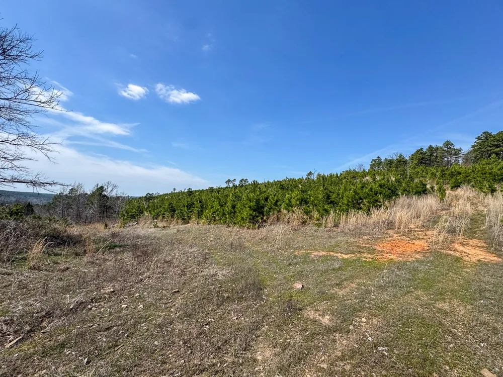1 Off N4220 Antlers, OK 74523