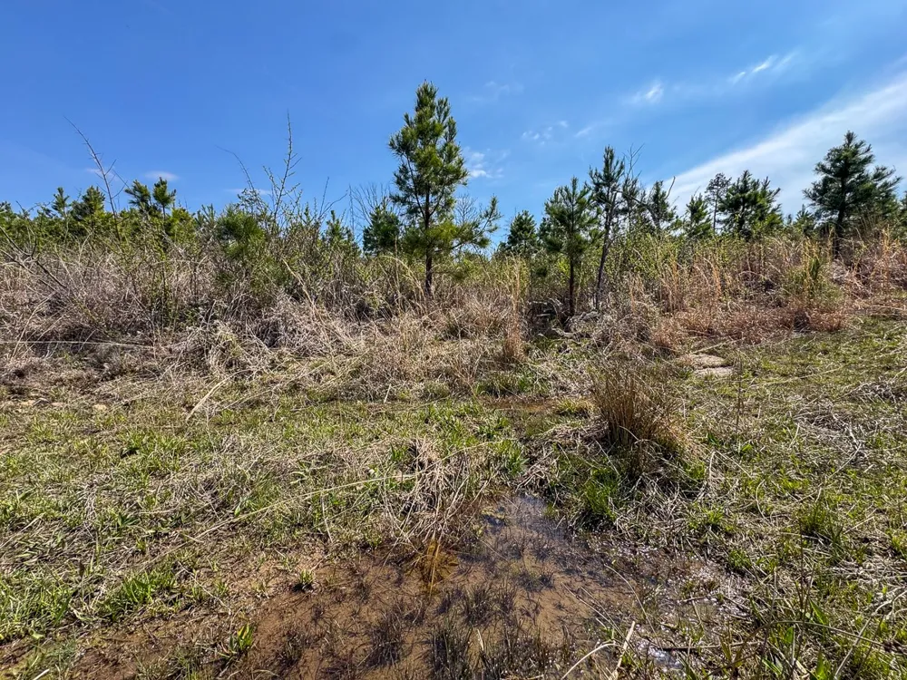 1 Off N4220 Antlers, OK 74523