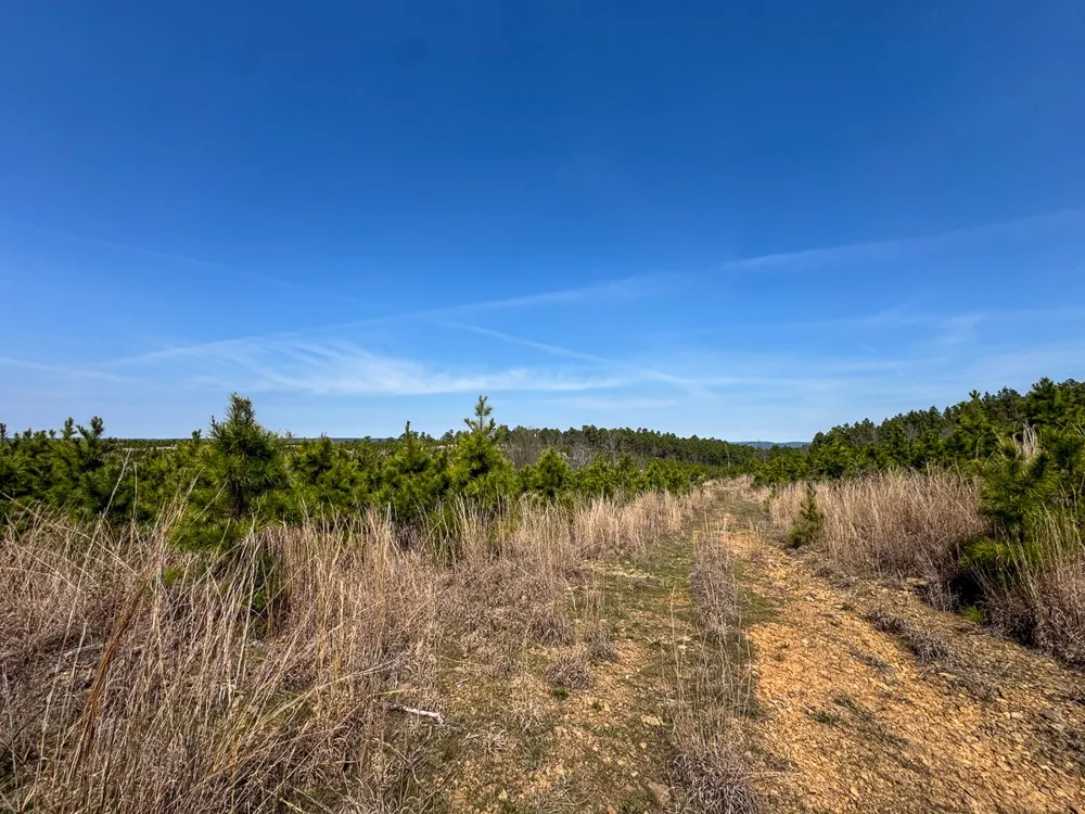 1 Off N4220 Antlers, OK 74523